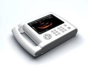 電子產(chǎn)品郵寄攻略 如何選擇快遞公司并安全寄送